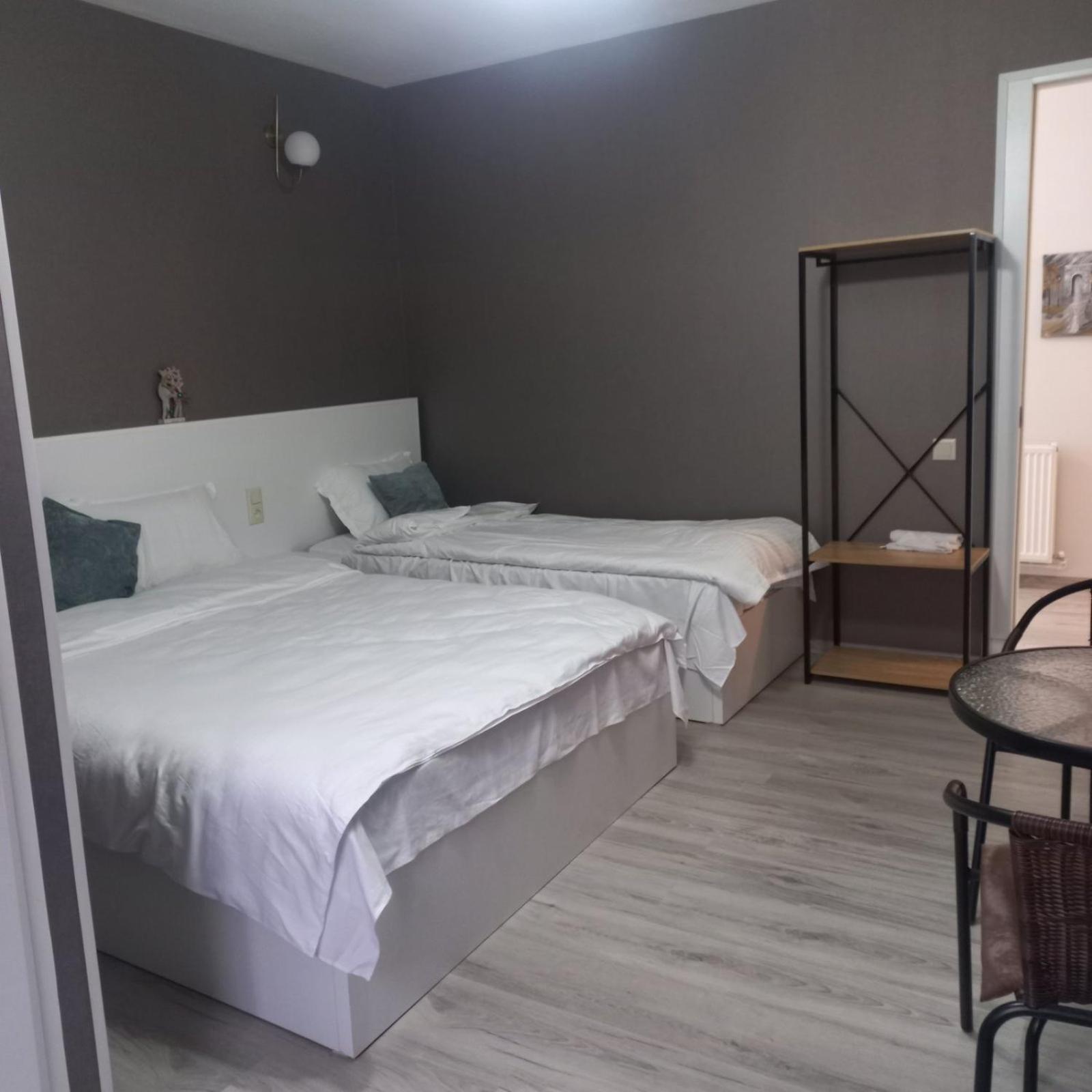 Ira & Vaso'S Guest House Borjomipark Δωμάτιο φωτογραφία
